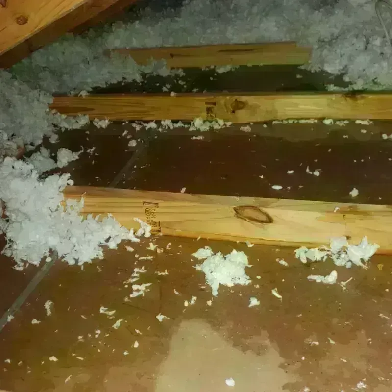 Attic Water Damage in Lander, WY