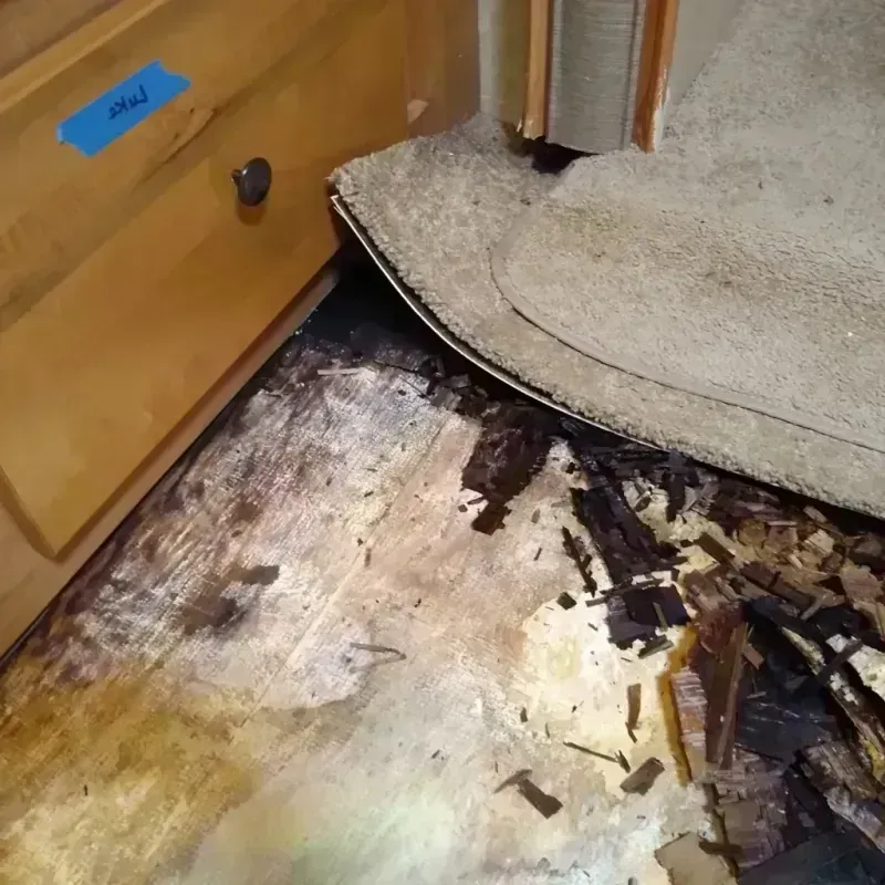 Wood Floor Water Damage in Lander, WY